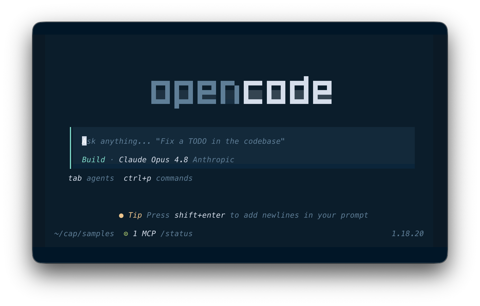 OpenCode started initially